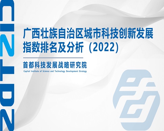 操白嫩嫩的嫩B【成果发布】广西壮族自治区城市科技创新发展指数排名及分析（2022）